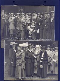 Illinois suffragists