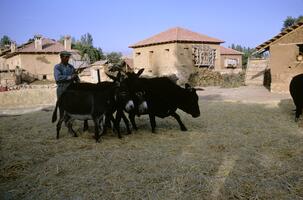 Gökpinar, Turkey