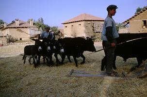 Gökpinar, Turkey