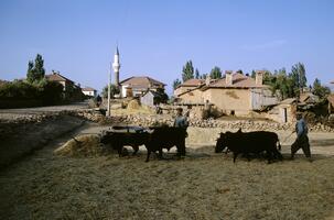 Gökpinar, Turkey