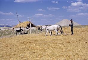 Gordion (Gordium), Turkey