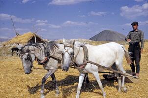 Gordion (Gordium), Turkey