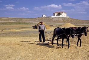 Gordion (Gordium), Turkey