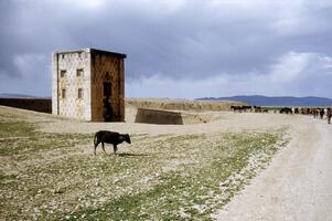 Naqsh-i Rustam, Iran