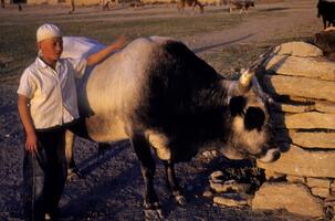 Gordion (Gordium), Turkey