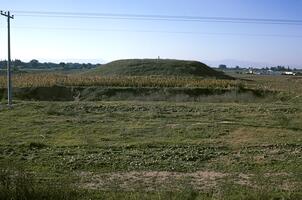 Souphli Magoula. Thessaly. Greece