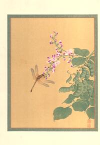 [Peapods, blossoms and dragonfly]
