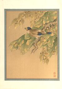 [Bird on branch with seeds]