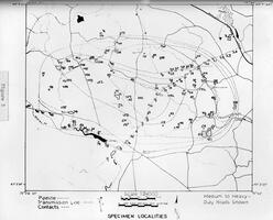 The Petrology of the Honeybrook Anorthosite, Chester County, Pennsylvania