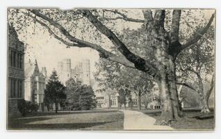 Bryn Mawr College campus, general view