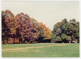 Bryn Mawr College campus, general view