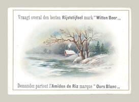 Vraagt overal den besten Rijststijfsel mark "Witten Beer"/Amidon de Riz marque "Ours Blanc"