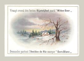 Vraagt overal den besten Rijststijfsel mark "Witten Beer"/Amidon de Riz marque "Ours Blanc"