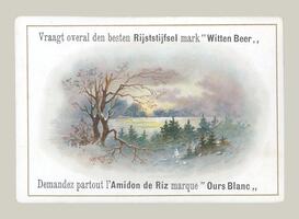 Vraagt overal den besten Rijststijfsel mark "Witten Beer"/Amidon de Riz marque "Ours Blanc"