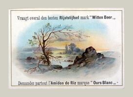 Vraagt overal den besten Rijststijfsel mark "Witten Beer"/Amidon de Riz marque "Ours Blanc"