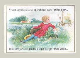 Vraagt overal den besten Rijststijfsel mark "Witten Beer"/Amidon de Riz marque "Ours Blanc"