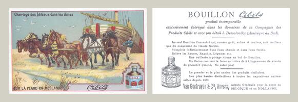 Bouillon Cibils