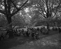 Parents Day on Founders Green