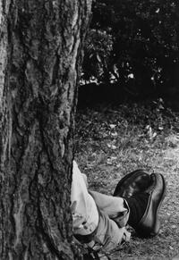 Person resting against a tree