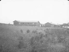 Workers camp in hut at Dole.