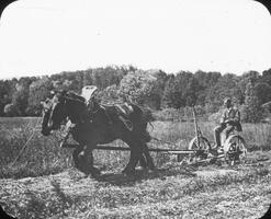 Mr. Dermond on Mower.