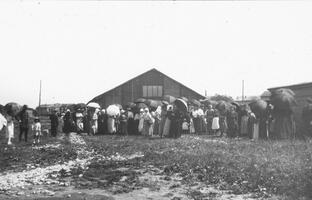 Bargain sale at Les Ilettes Waiting turn to be admitted