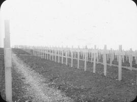 American cemetery. Romagne.