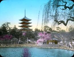 Sarusawa Pond at Nara