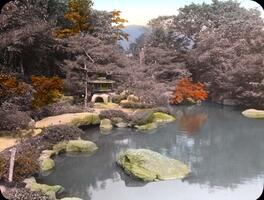 Japanese Garden, A