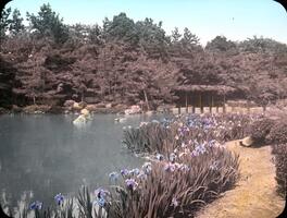 Japanese Garden, A