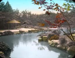 Japanese Garden, A