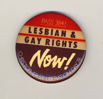 Pass 384! Lesbian & Gay Rights Now! Christopher St. Liberation Day 78.